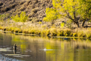 fly fishing on the crooked river