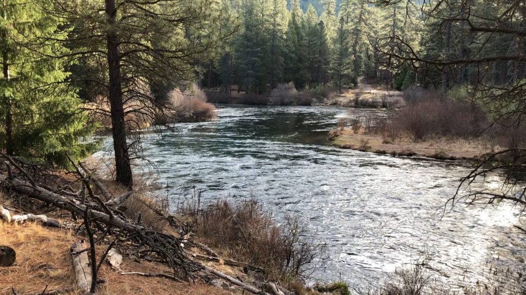 metolius river bend