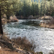 metolius river bend